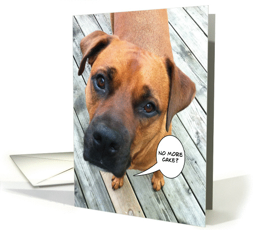 Dog late for birthday cake card (843933)