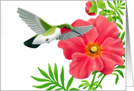 Ruby Throated Hummingbird card
