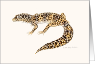 Leopard Gecko Lizard card