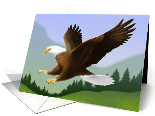 American Bald Eagle card (201514)