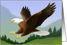 American Bald Eagle card