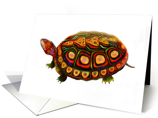 Wood Turtle card (201550)