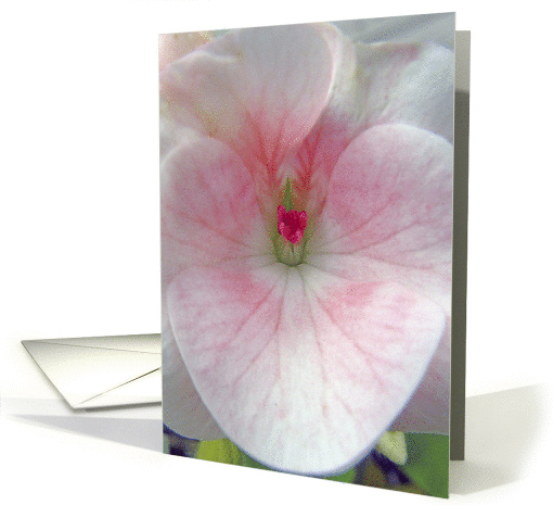 Pink love card (152487)
