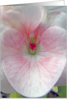 Pink love