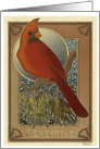 Cardinal in Winter - Christmas card