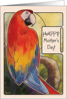 Scarlet Macaw - Mother’s Day card