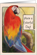 Scarlet Macaw - Colorful Day card