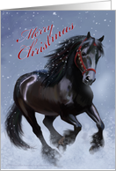 Snow Friesian card