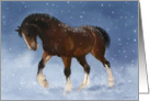 Winter Clydesdale card