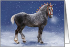 Winter Percheron card