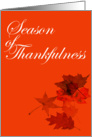 Thanksgiving - Autumn Leaves card