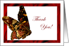 Wild Butterfly Thank You Card