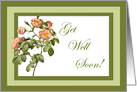 Spring Bouquet Get Well Card