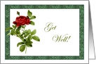 Marble Red Rose Get Well Card
