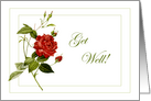 Red Rose Get Well Card