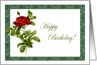 Marble Red Rose Birthday Card