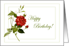 Red Rose Birthday Card
