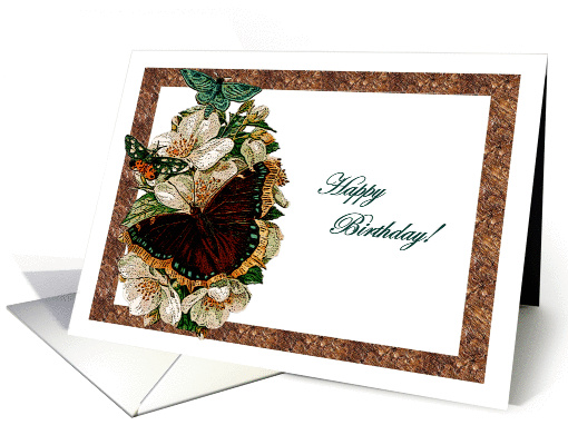 Argus Spring Birthday card (897975)
