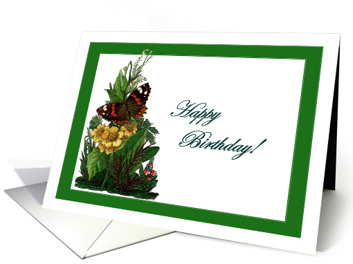 Red Admiral Summer Birthday card (897994)