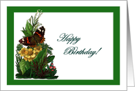 Red Admiral Summer Birthday Card