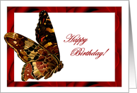 Wild Butterfly Birthday Card
