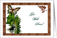 Brown Tiger Fern Get Well Card