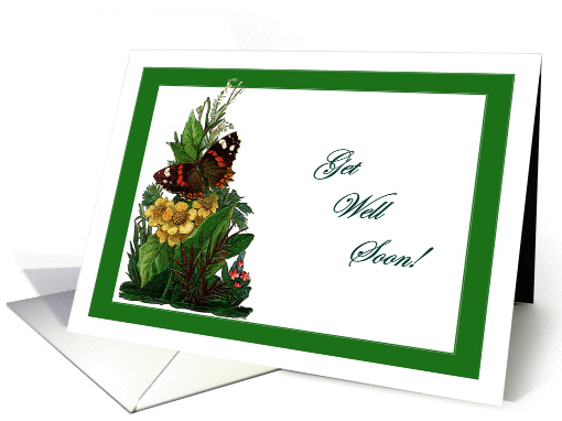 Red Admiral Summer Get Well card (898020)
