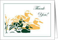 Mallard Ducks Thank You Card