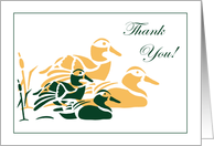 Mallard Ducks Thank...