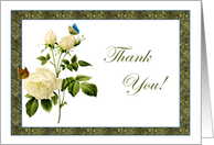 White Rose Thank You...