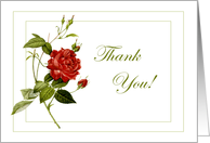 Red Rose Thank You Card