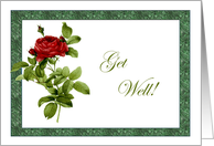 Marble Red Rose Get Well Card