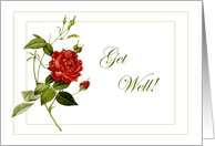 Red Rose Get Well Card