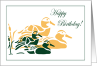 Mallard Ducks Birthday Card