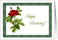 Marble Red Rose Birthday Card
