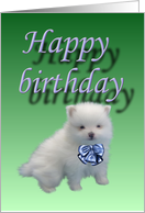Happy birthday-puppy card