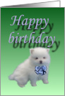 Happy birthday-puppy card