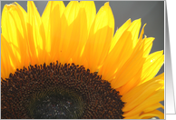 Part of a SunFlower card