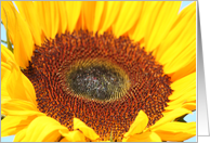 Part of a SunFlower card