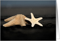StarFish on the Beach card