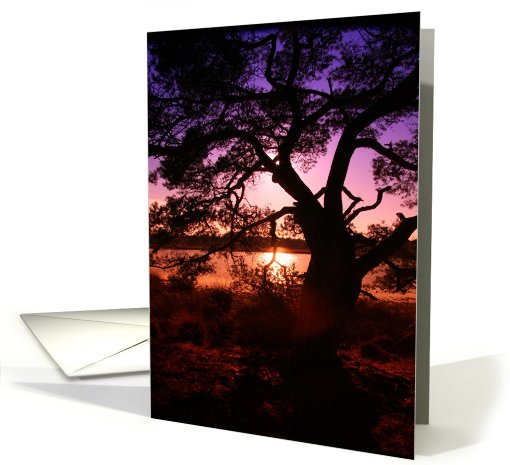 Sunset Landscape card (435882)