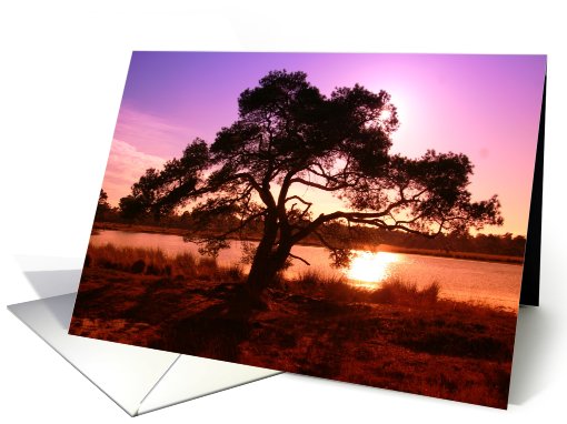 Sunset Landscape card (435886)