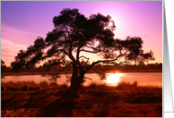 Sunset Landscape card