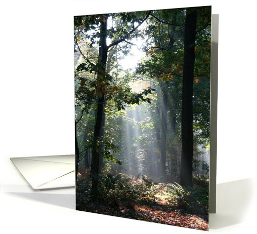 Mysterious Sunbeams in a Forest card (435894)