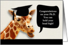Congratulations on your Ph.D, smiling giraffe card