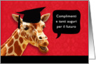 congratulazioni per la laurea, Congratulations on graduating, Italian card