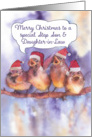 Merry Christmas to my Step Son & daughter-in-Law, sparrows card
