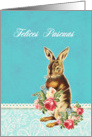 Happy Easter in Spanish, Felices Pascuas, vintage bunny card