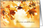 With deepest Sympathy in French, Card, Autumn leaves card