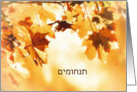 With deepest Sympathy in Hebrew, Card, Autumn leaves card